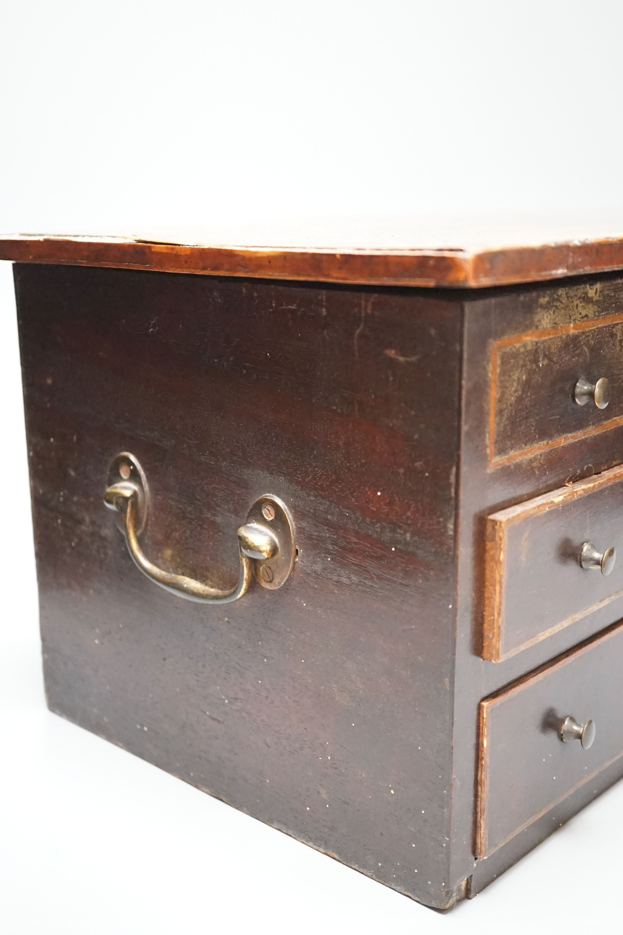 A George III mahogany collector’s cabinet of sea shells, in compartmentalised drawers. Width - 41cm